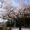 ＠醍醐寺　三宝院