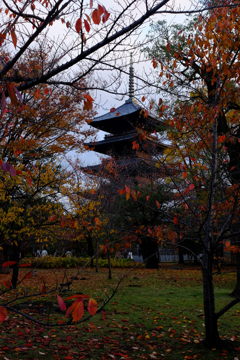 東寺3