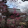 2015-03-08_0051