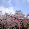 姫路城4