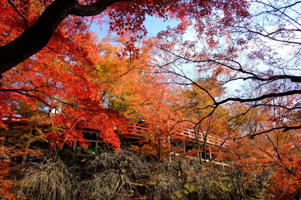 北野天満宮