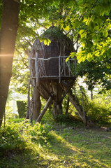 どんぐりの小屋