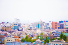 街の桜