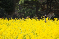 春を駆け抜ける