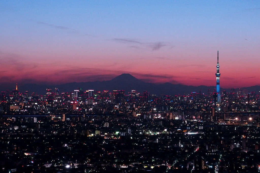 富士とツリーとタワーの夕暮れ
