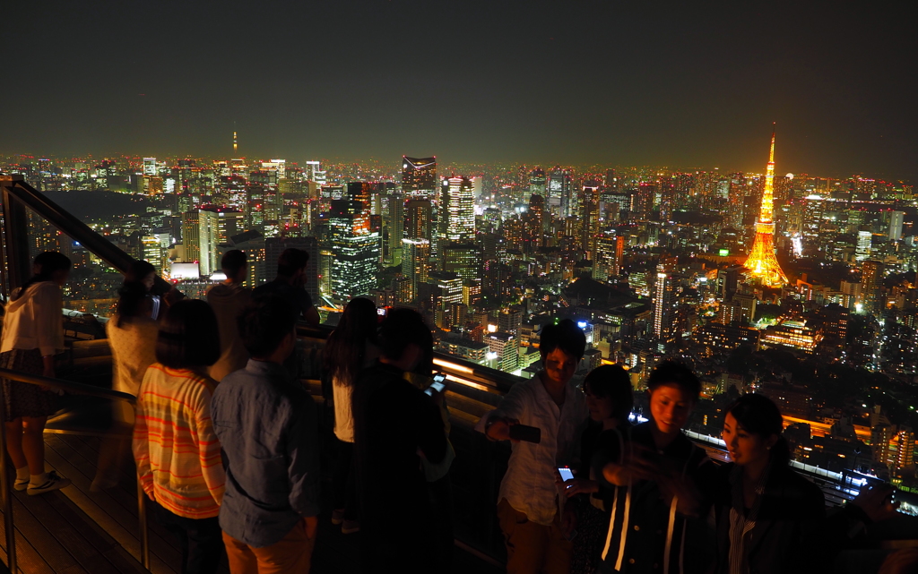 Tokyo Nightseeing