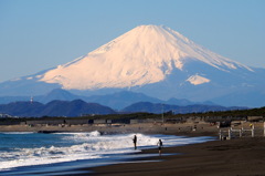 湘南からの富士