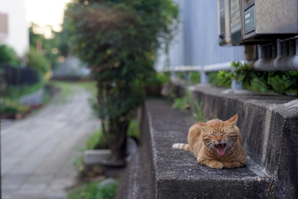 お昼下がりの、ゆっくり時間