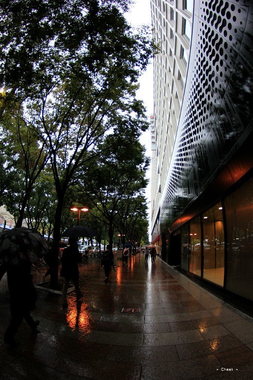 Rainy Days