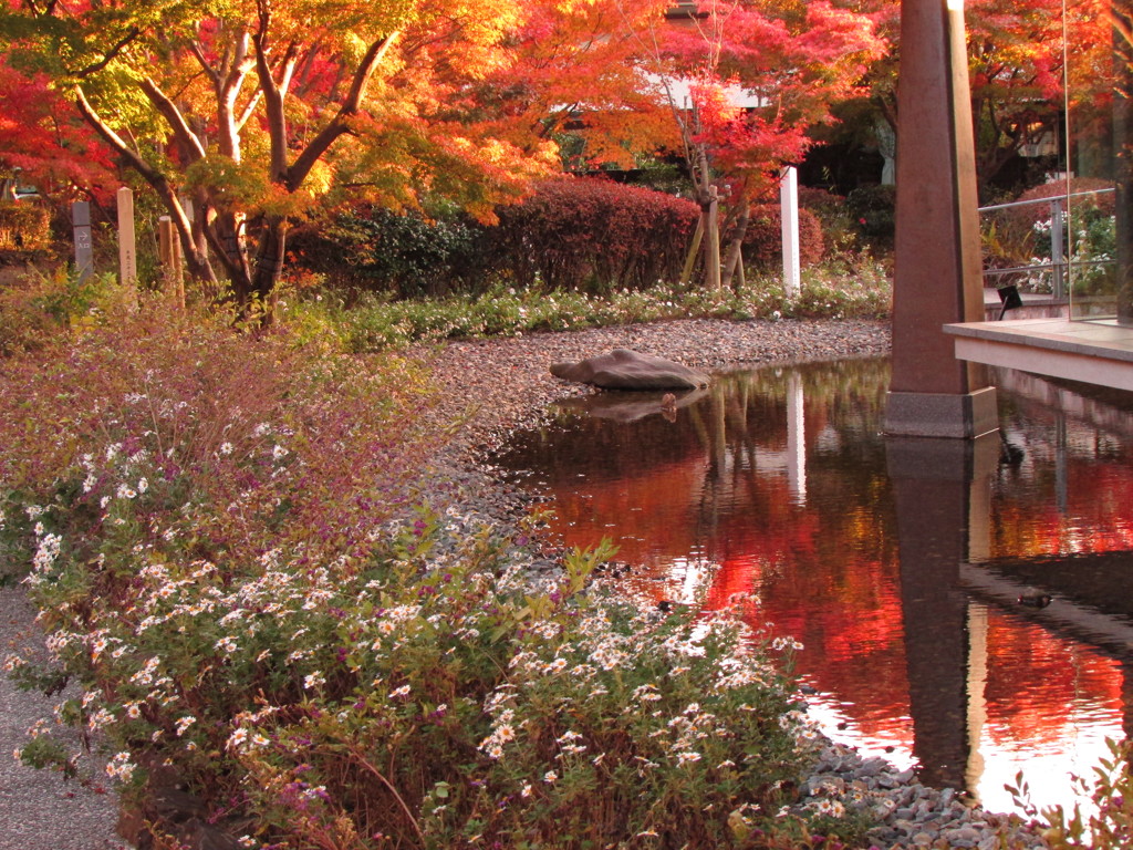 湖の紅葉
