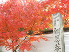 一休寺にて