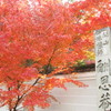 一休寺にて