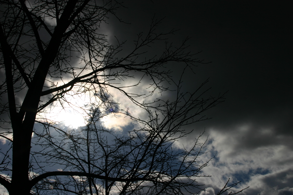 冬の空