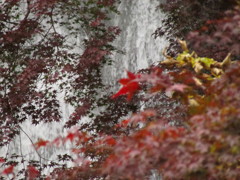 箕面の滝