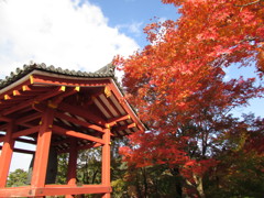 平等院鳳凰堂