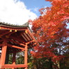 平等院鳳凰堂