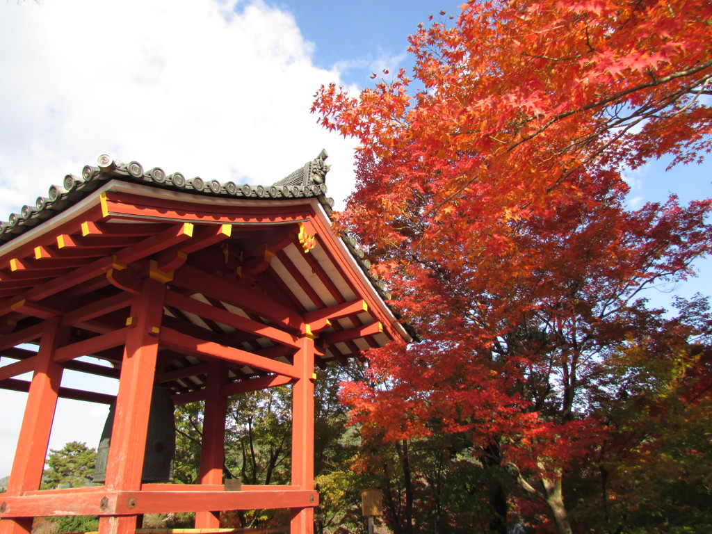 平等院鳳凰堂公園
