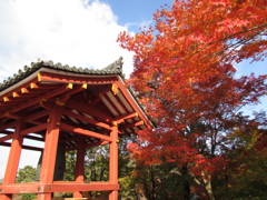 平等院鳳凰堂公園