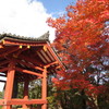 平等院鳳凰堂公園