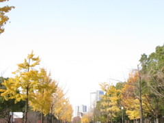 大阪城公園にて