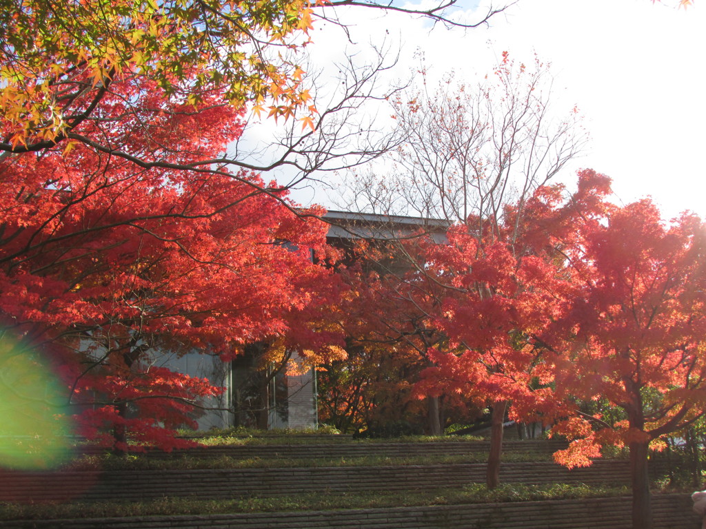 平等院鳳凰堂内公園