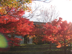 平等院鳳凰堂内公園