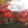 平等院鳳凰堂内公園