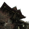 梅と北野天満宮