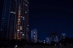 東京タワー2