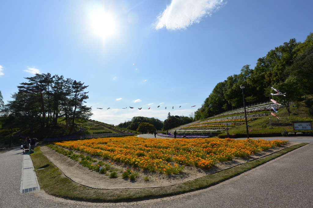 鞍が池公園