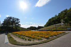 鞍が池公園