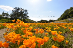 鞍が池公園