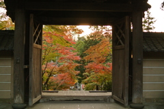 秋への窓