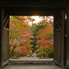 秋への窓