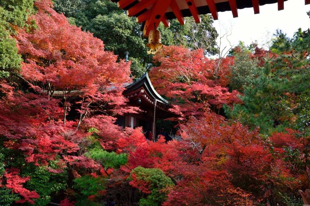 京都　毘沙門堂