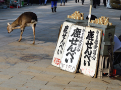 奈良