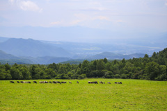 まきば公園八ヶ岳