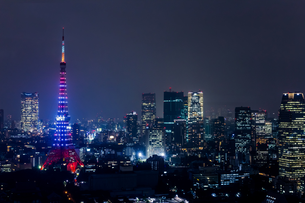 WFGT仕様の東京タワー（横）