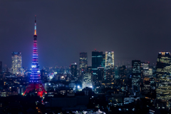 WFGT仕様の東京タワー（横）