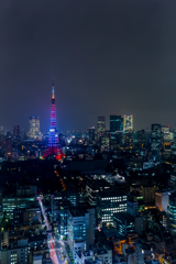 WFGT仕様の東京タワー（縦）