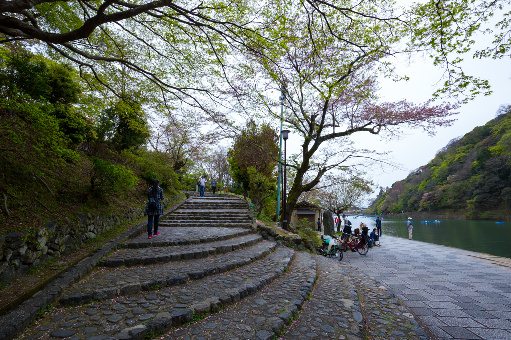 嵐山01