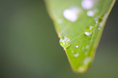 雨上がり