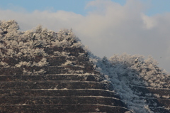 White powder