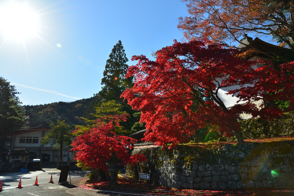 日光「紅葉」