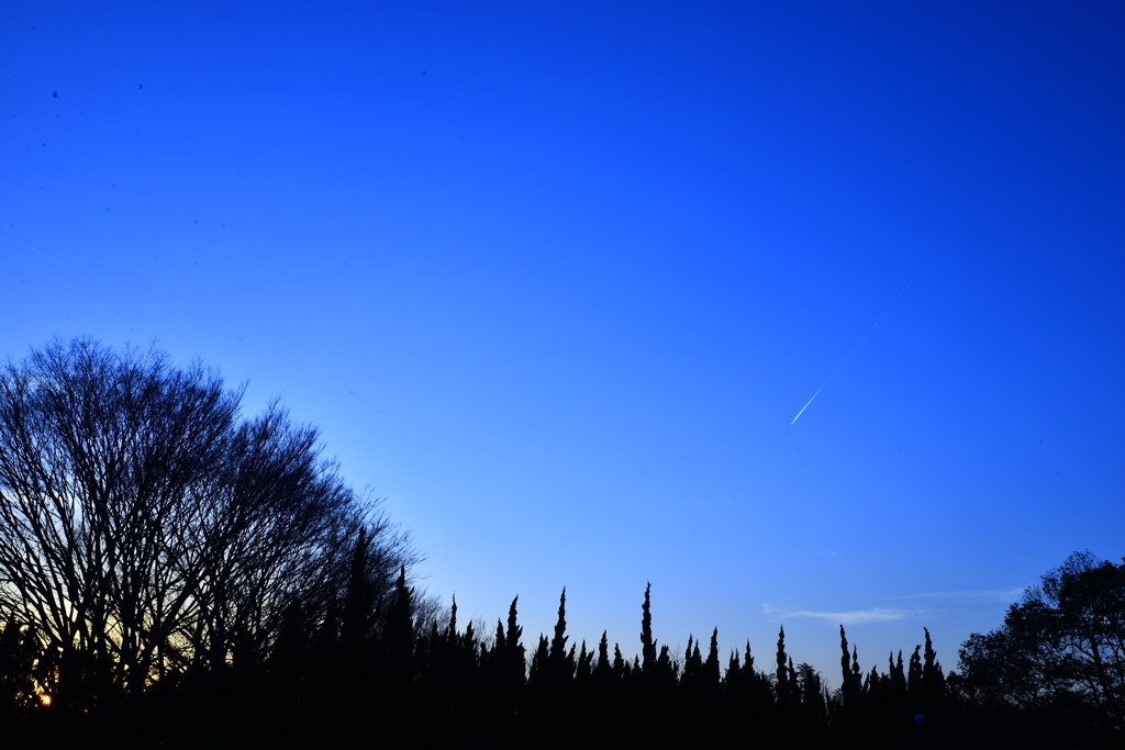 夕方の流れ星☆