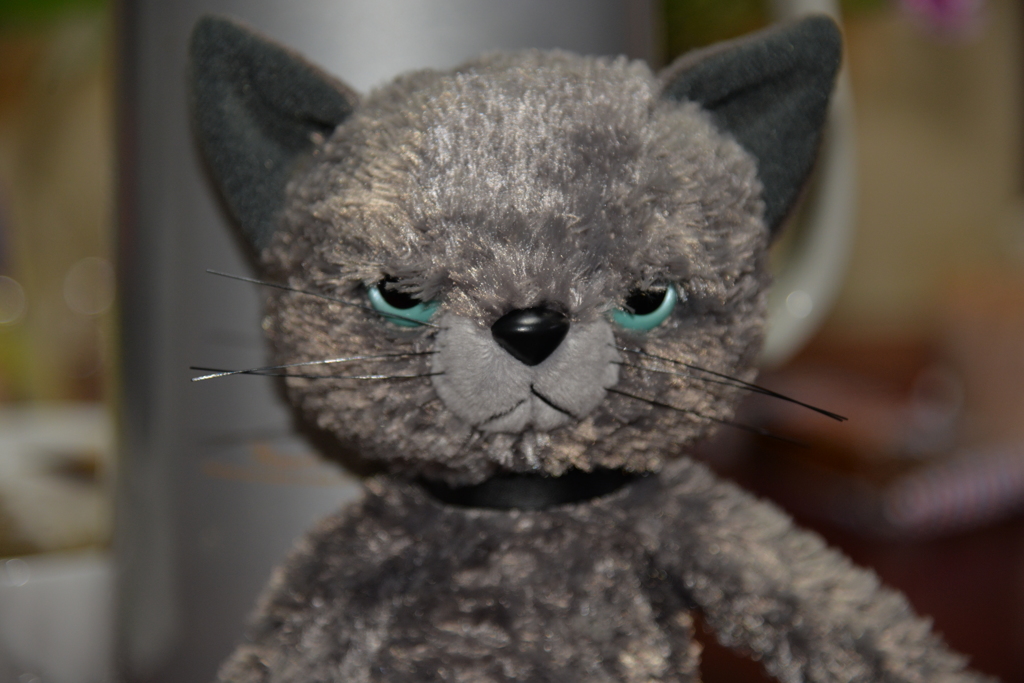 専属モデル『グレー』