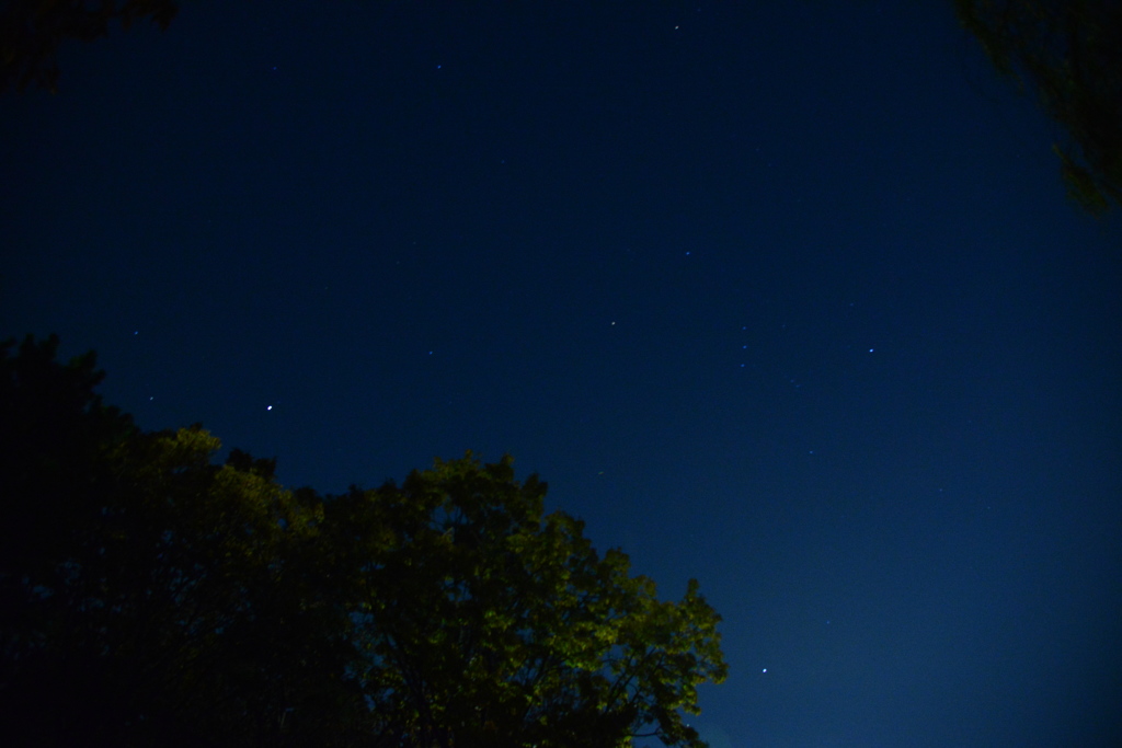 星①