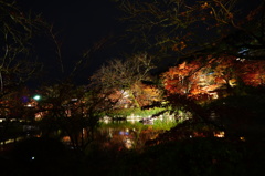DSC01672