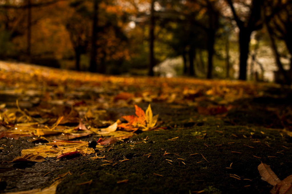 20151025-IMG_9419