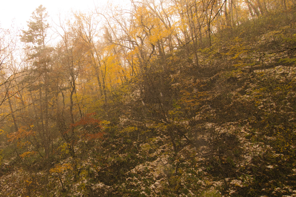 20151025-IMG_9484